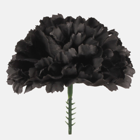 Carnation on the peak, Black W721-08