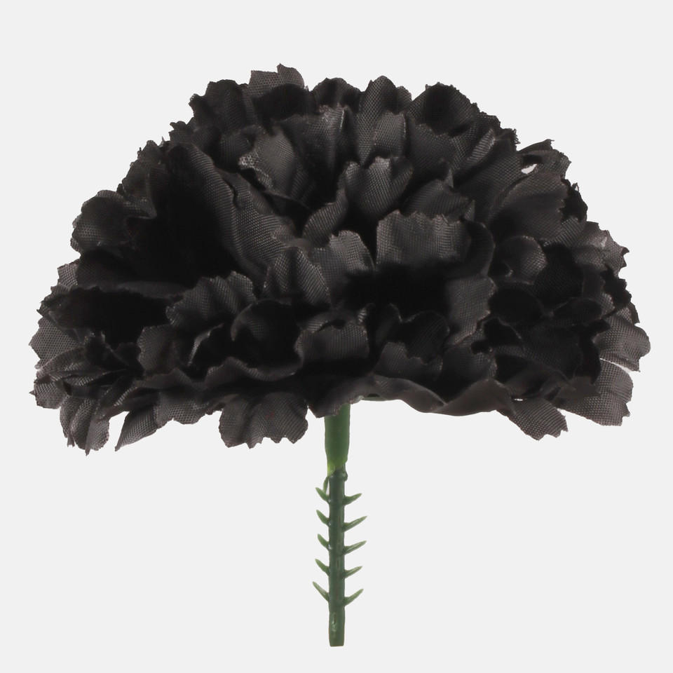 Carnation on the peak, Black W721-08