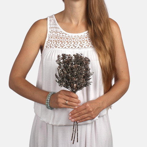 Helichrysum-Bouquet A773 (Product size)