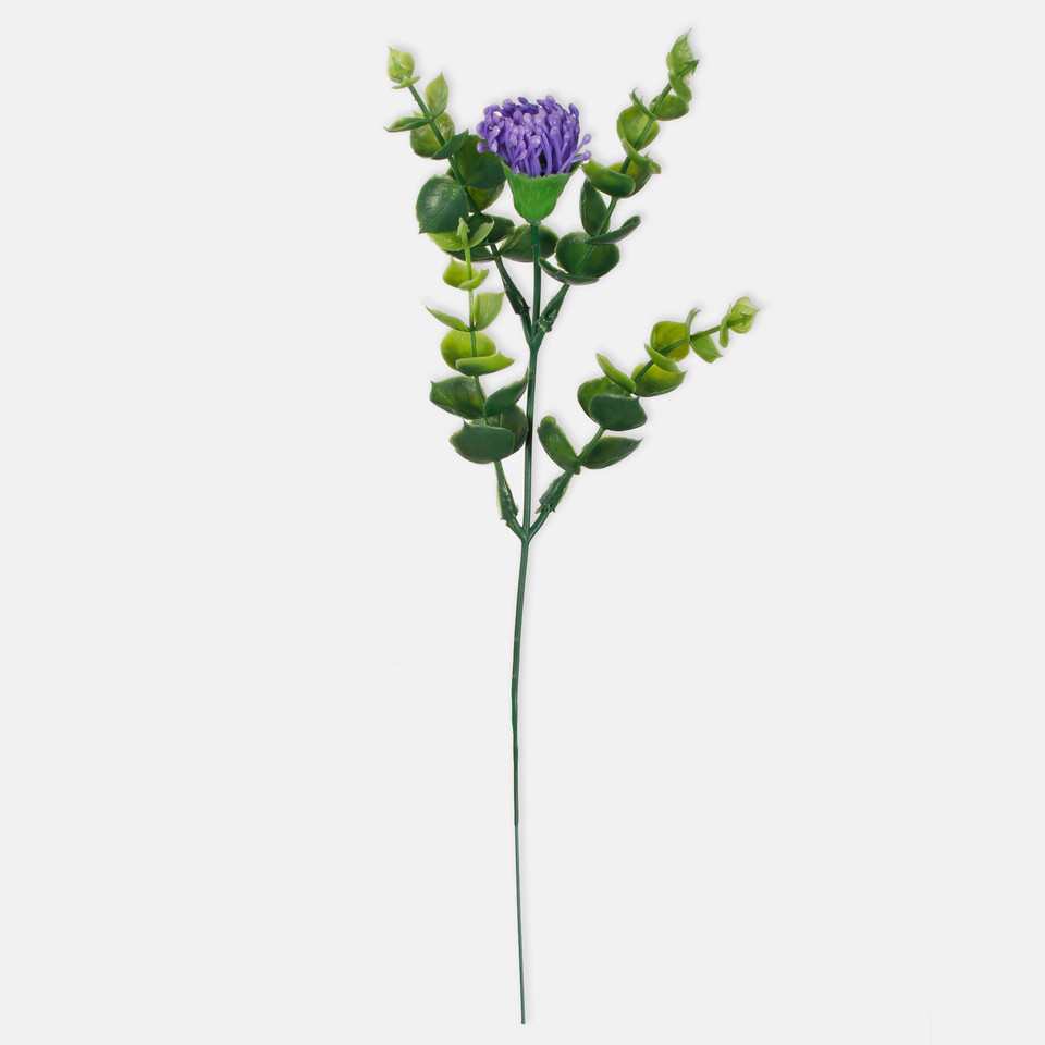 Blooming bilberry, Lilac A595-01