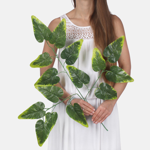 Hibiscus F166 (Product size)