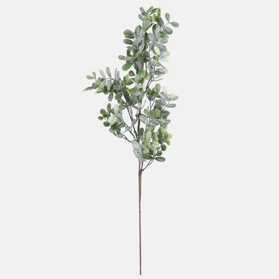 Glittered privet, Frosted Green F246S-01