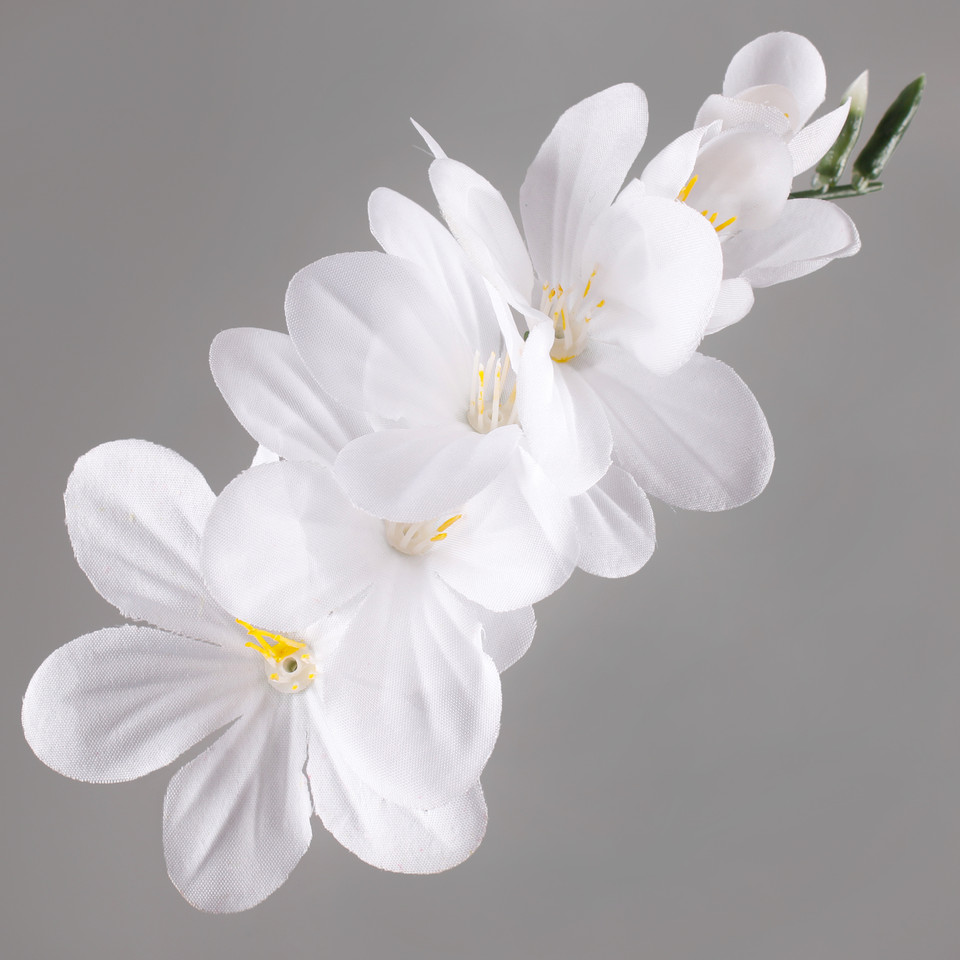 Frezja, Pure White W056-04