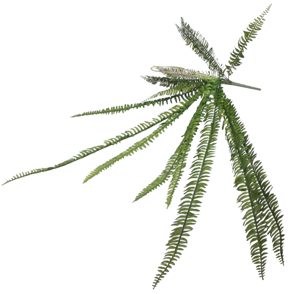 Paproć - bukiet 92 cm, green B273-00