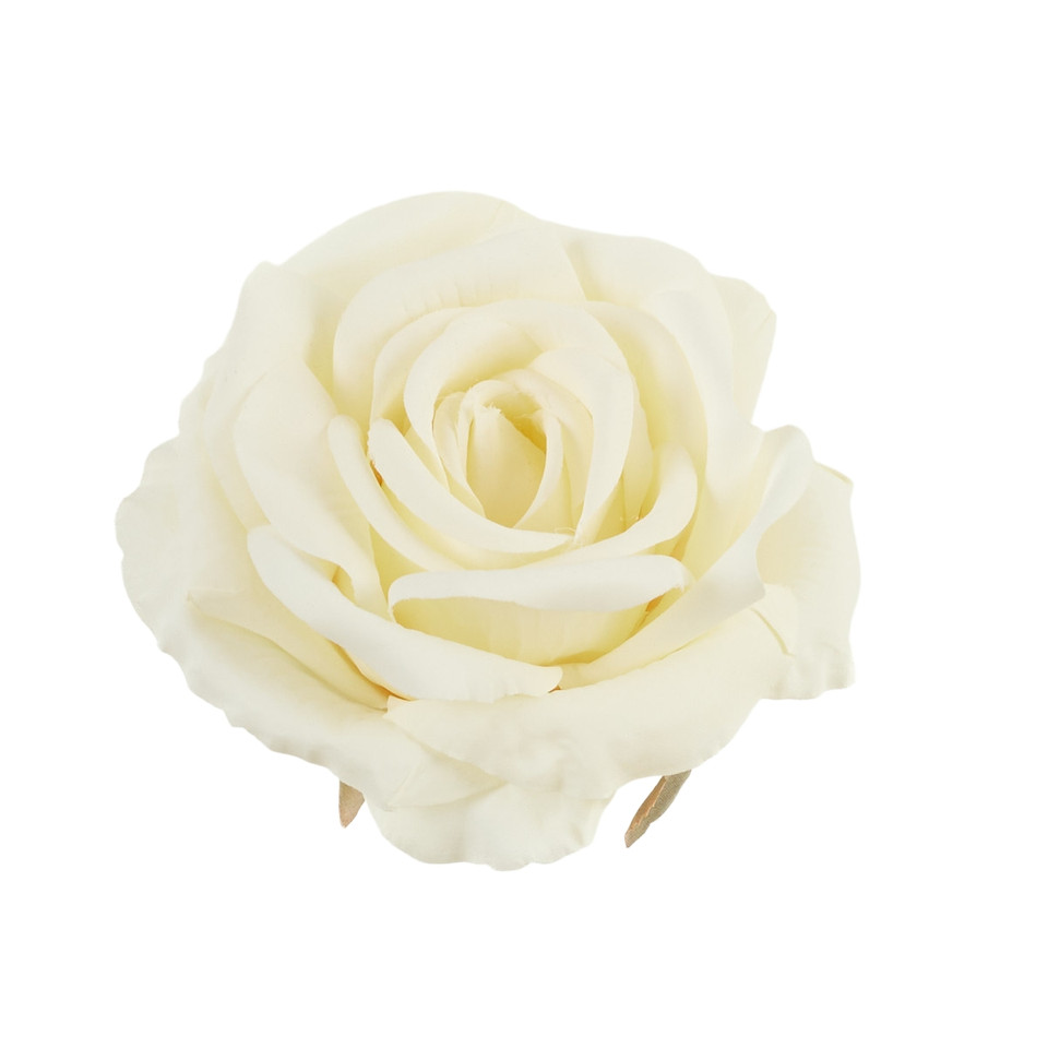 Rose, #02 cream B70-02