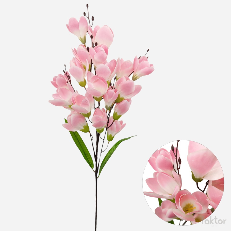 Magnolia, Lt. Pink L822-03