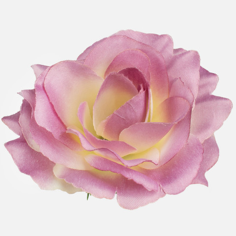 Rose, Mauve/Cream W625-16