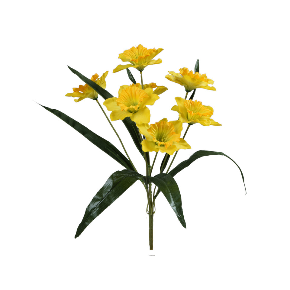 Żonkil - bukiet 51 cm, yellow U188E-00