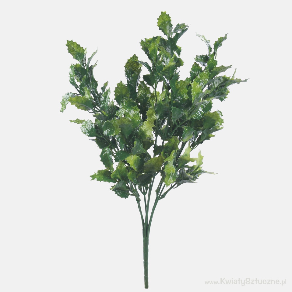 Holly x 7, Green A604-03