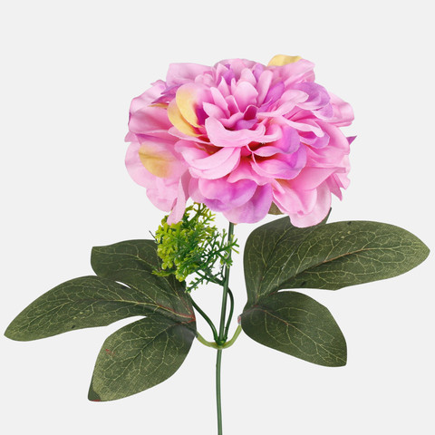Dahlia, Lt. Lilac G436-03
