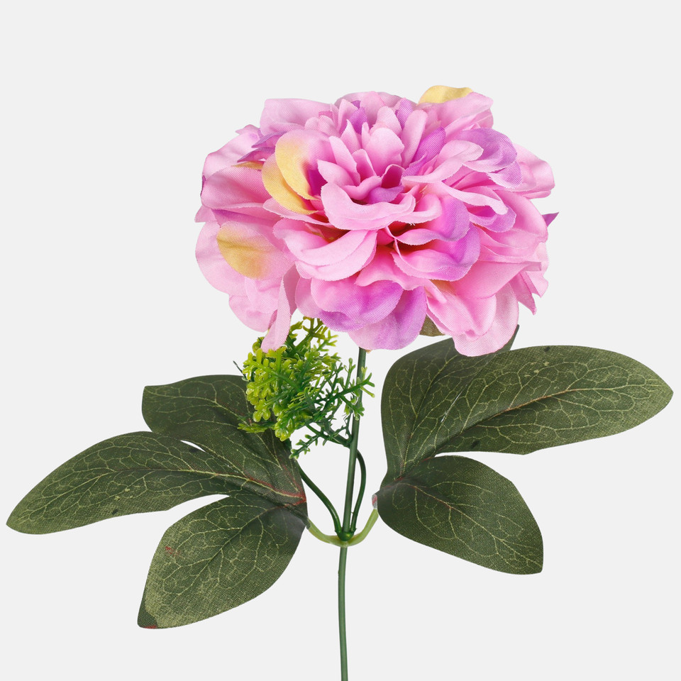 Dalia, Lt. Lilac G436-03