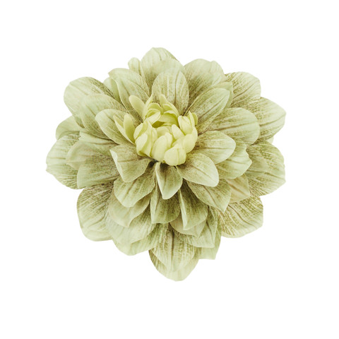 Dahlia head, #32 B32-32