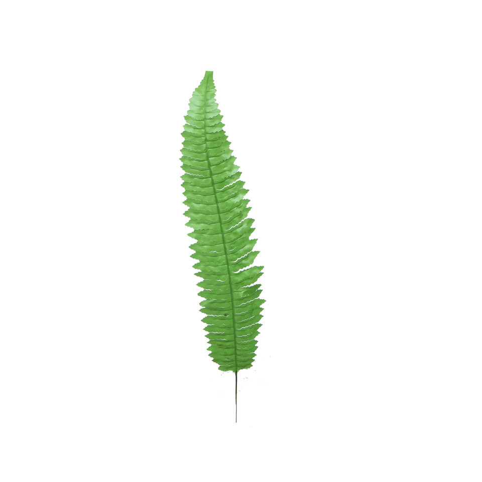 Paproć - liść 55 cm, green L490-01