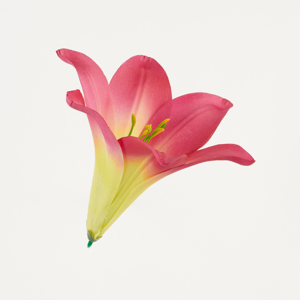Lilia – główka satyna, plum yellow B276-019