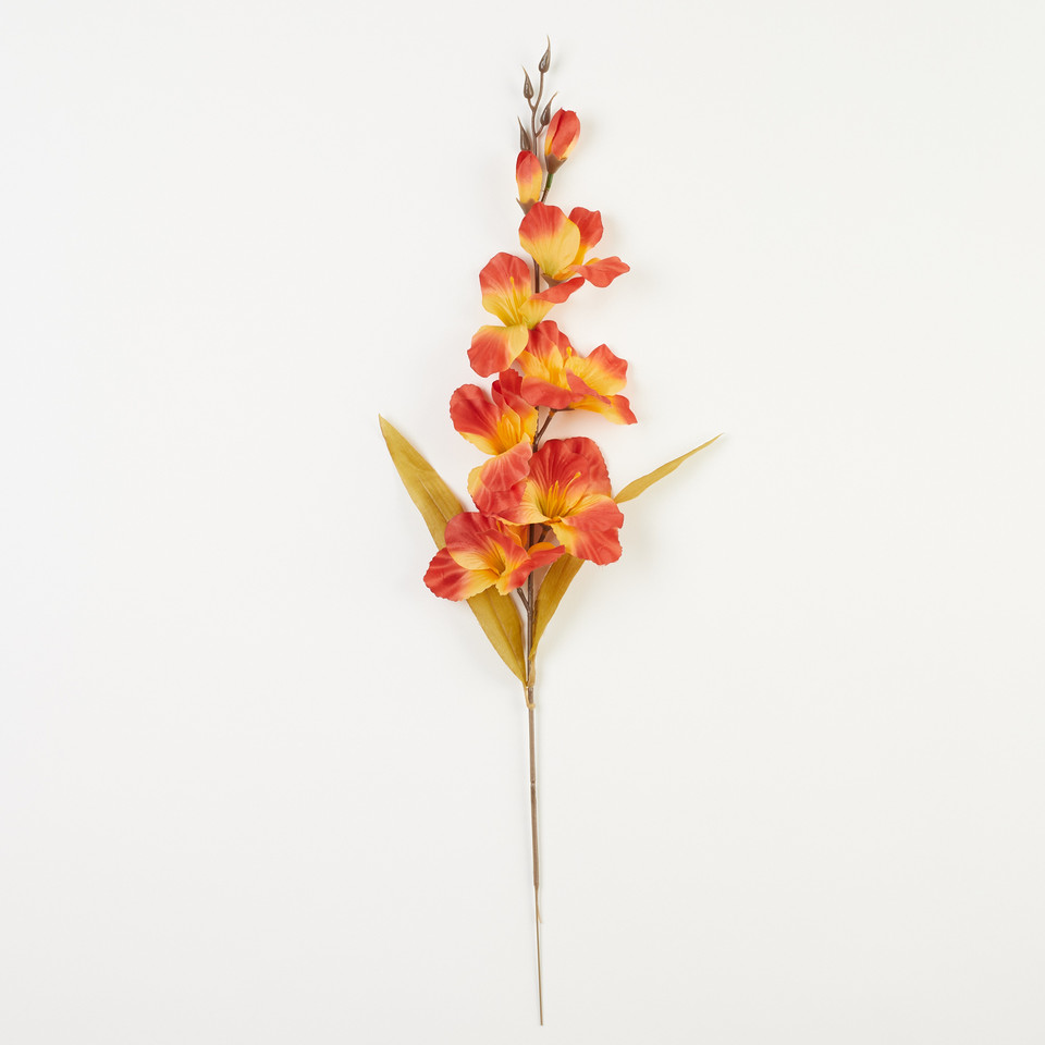 Mieczyk, Yellow/Red B184-60