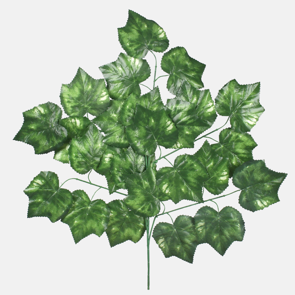 Maple, T.T. Green F204-01