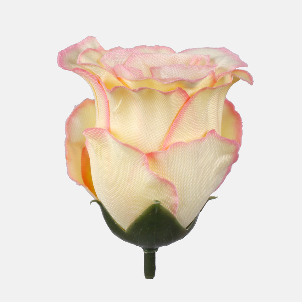 Róża w pąku, Lt. Yellow/Pink Edge W681-12