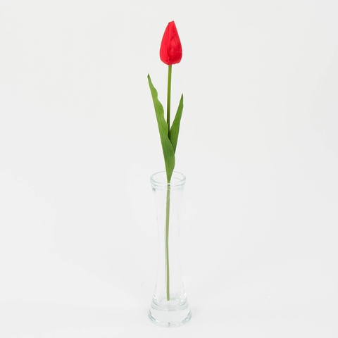 Tulipan – gałązka (12 szt.), red J38-07