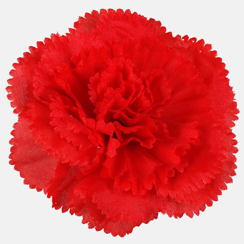 Carnation, Red W680-01