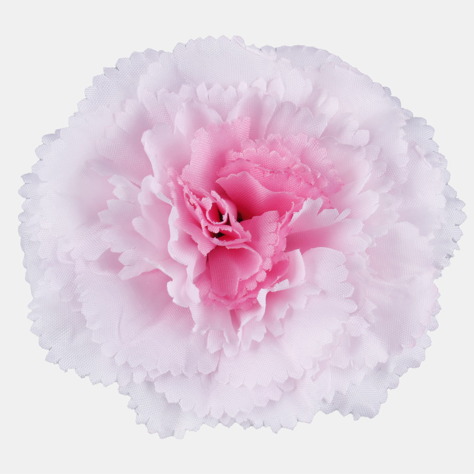 Goździk, T.T. Pink W680-05