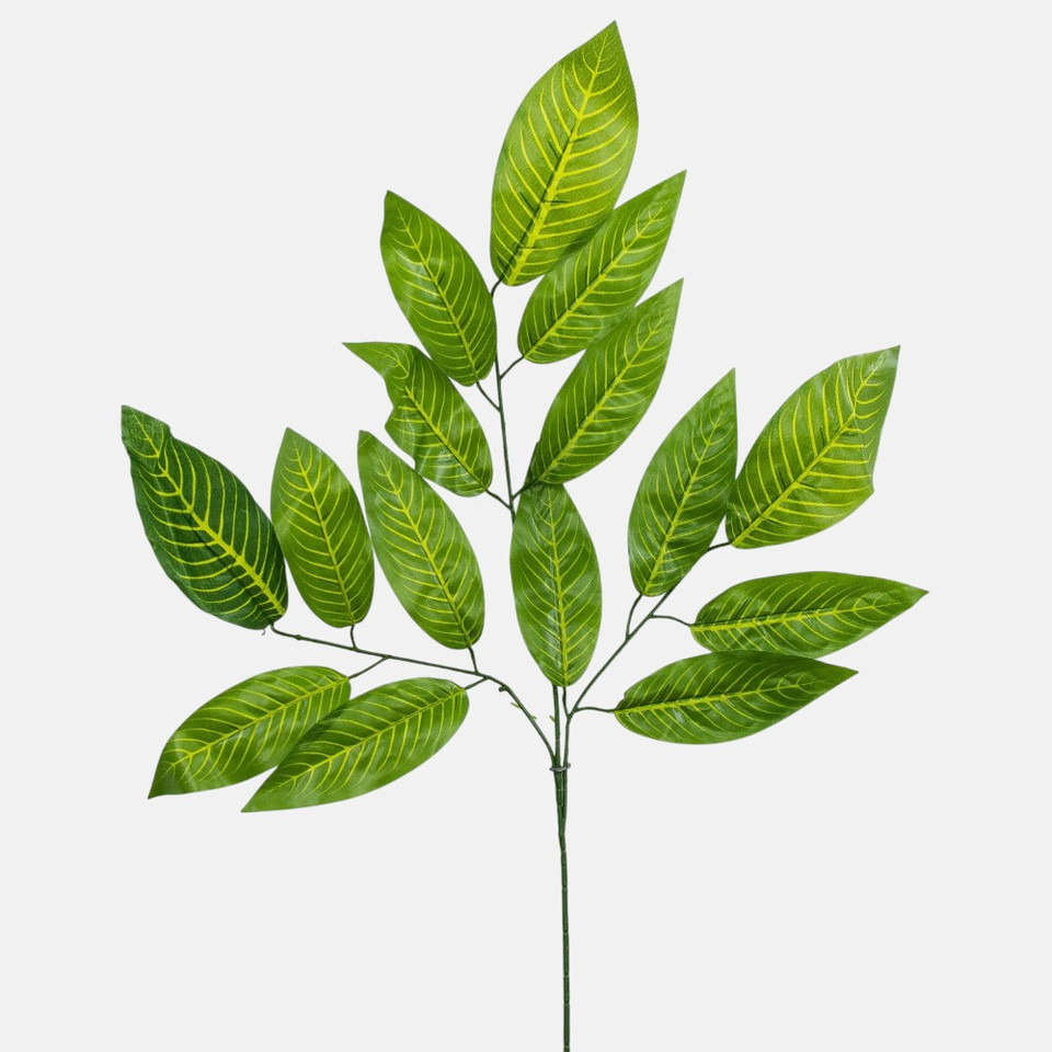 Mango (3 x 5), Green S363-01