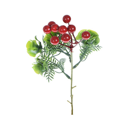 Blueberry branch with berries R540