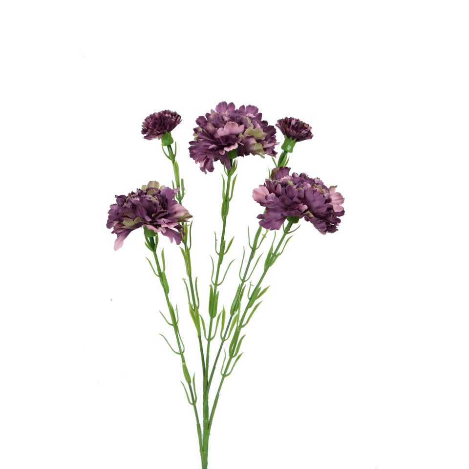 Goździk - gałązka 61 cm, m K079-m