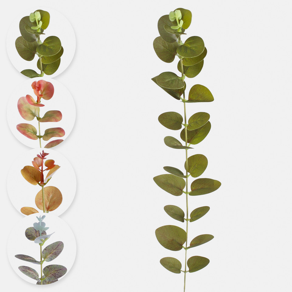 Eucalyptus twig, Burgundy/T.T. Green A707-01