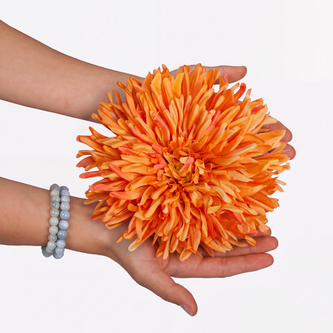 Chrysanthemum head W028 (Product size)