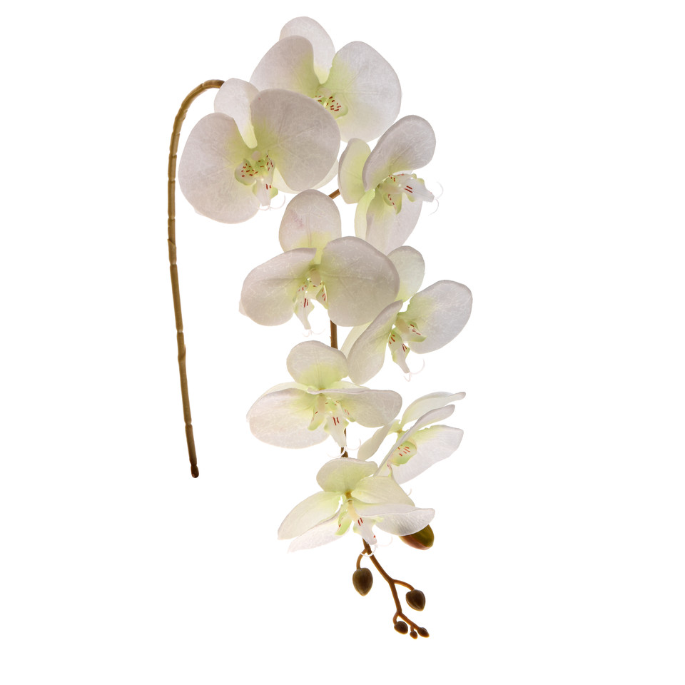 Storczyk - gałązka satynowa 92 cm, cream/green K218-03