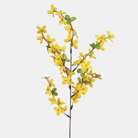 Forsythia G008