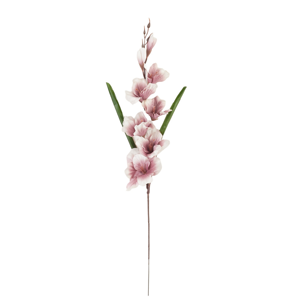 Mieczyk - gałązka 63 cm, 17 mauve cream AL183-16