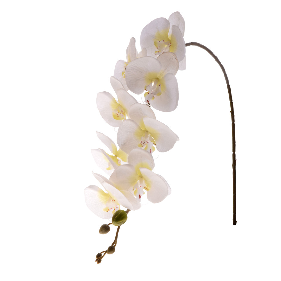 Storczyk - gałązka satynowa 92 cm, cream K218-02