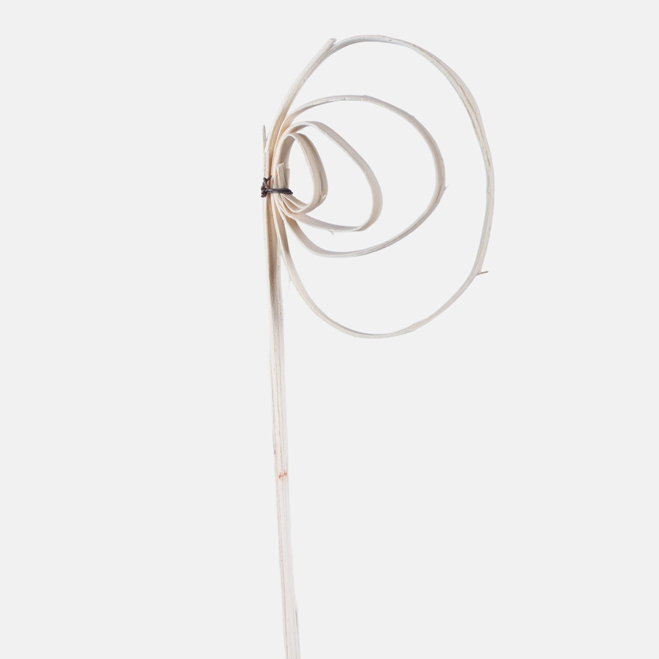 Cane coil mini wybielane Y036