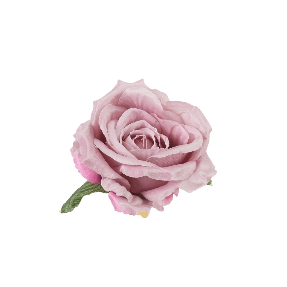 Róża – główka, #050 autumn pink w/edge B53-050