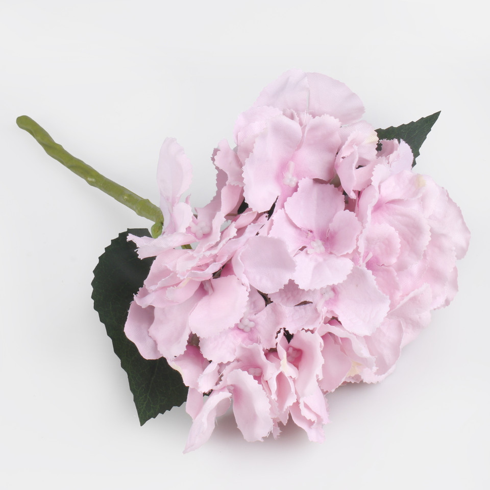 Hortensja, Lilac G417-04