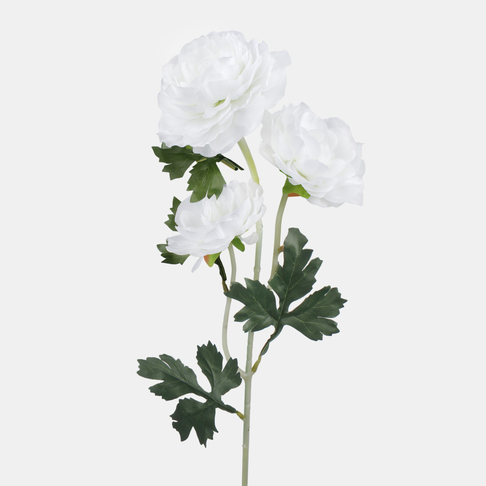 Kamelia x 3, Mix 1 L823-01