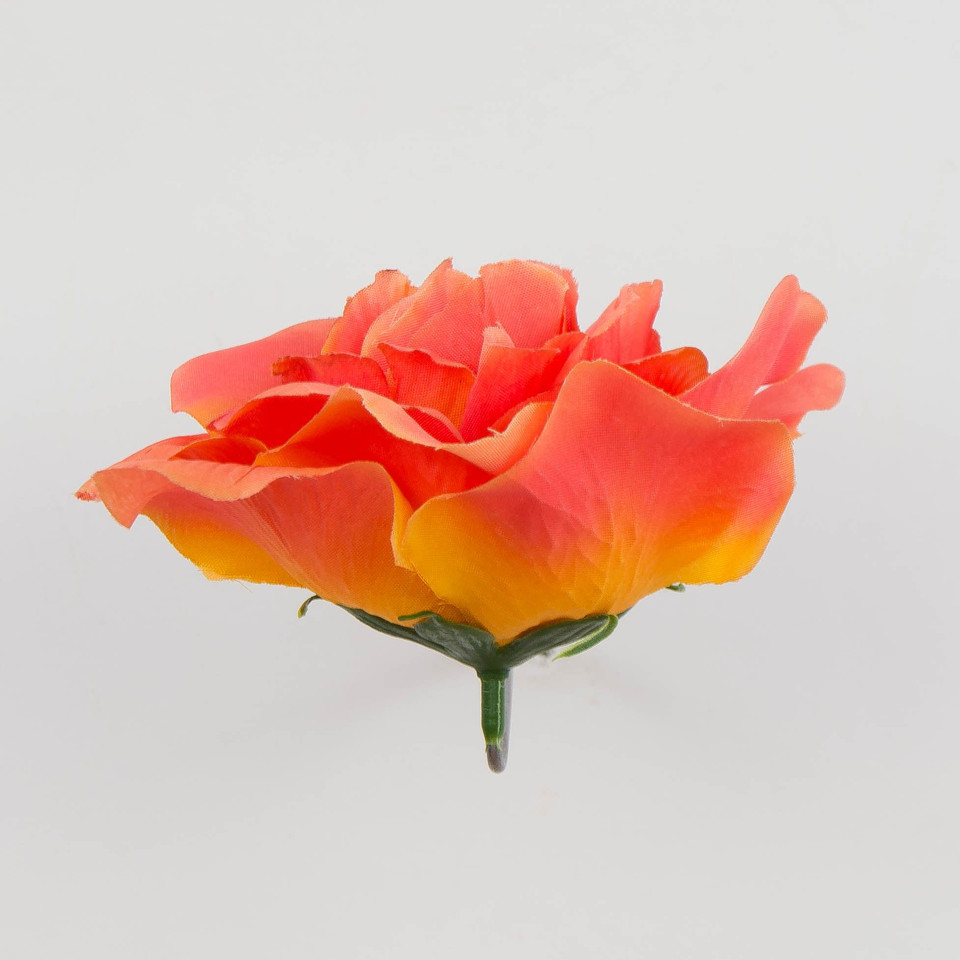 Róża – główka, coral/yellow W129-060
