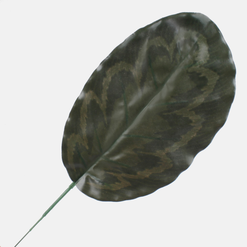 Aglaonema leaf, Dk. Green/Red A139