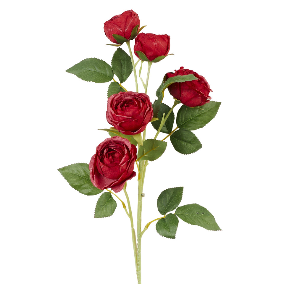 Peonia - gałązka x5 66 cm, 06 red UJ57-06