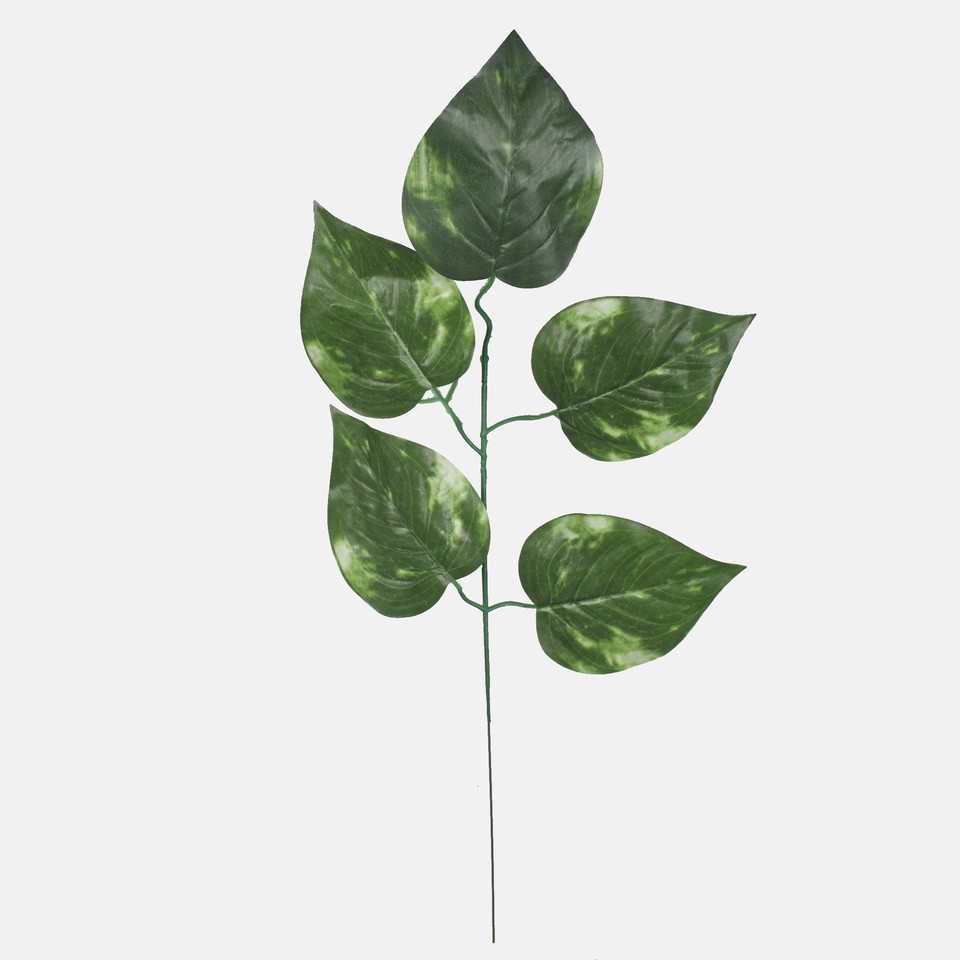 Linden, T.T. Green F162-01