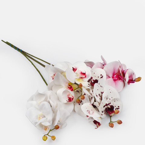 Orchid, White L775L-01