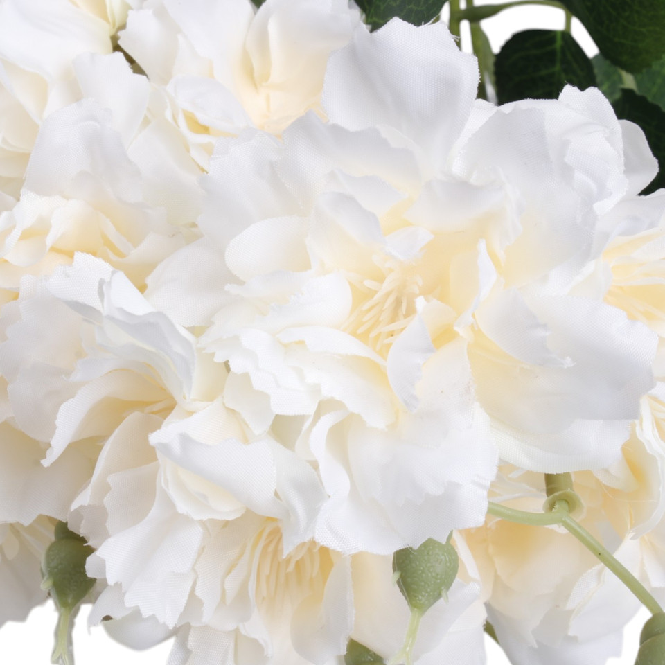 Azalia, Cream L894-02