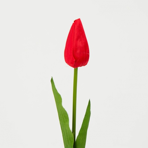 Tulipan – gałązka (12 szt.), red J38-07