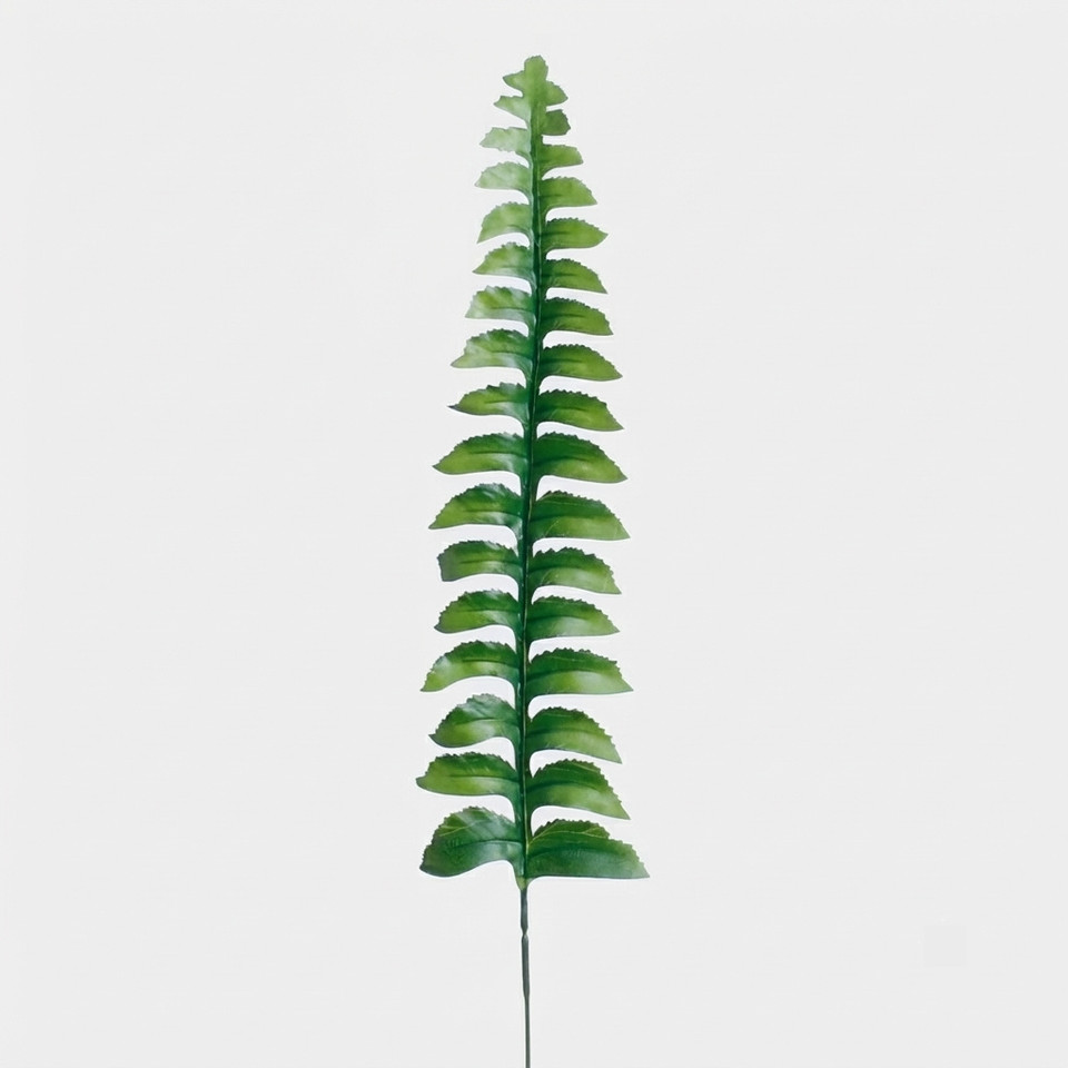 Liść paproci, Green H022A-02