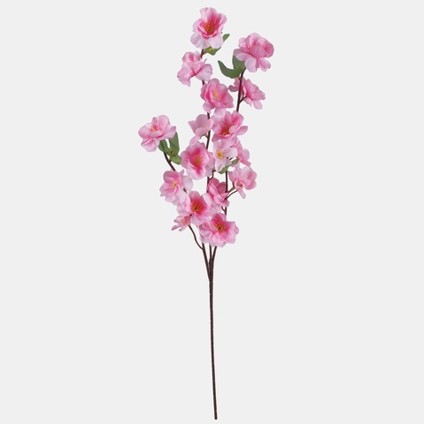 Apple tree x 3, Pink L701-04