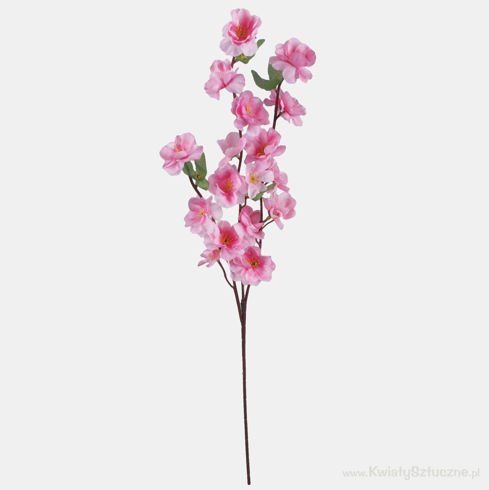 Apple tree x 3, Pink L701-04