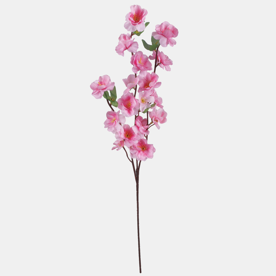 Jabłoń x 3, Pink L701-04