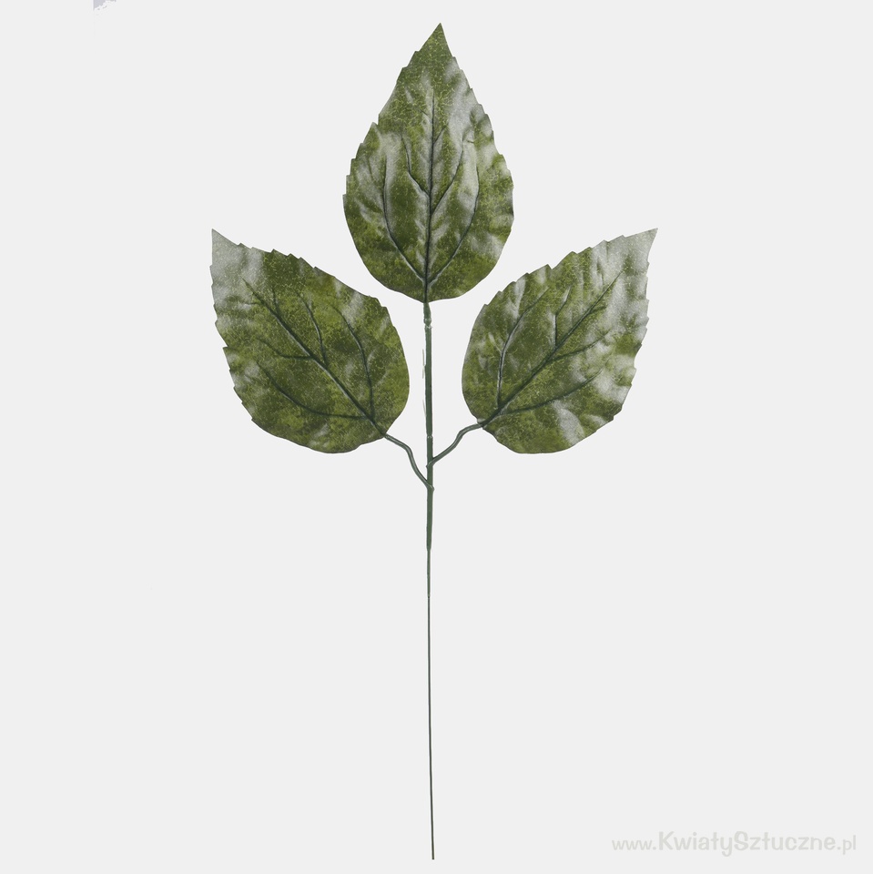 Sunflower leaf, Green A162-01