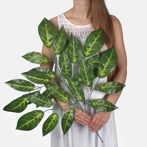 Mango F190 (Product size)